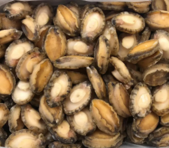 【食品進(jìn)口】海參、鮑魚等海味干貨報(bào)關(guān)指南