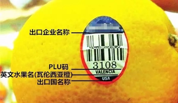 水果標(biāo)簽
