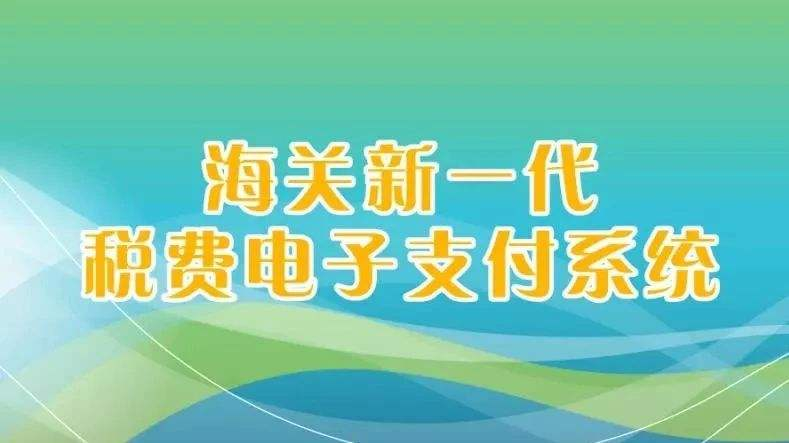 海關“新一代電子支付系統(tǒng)”