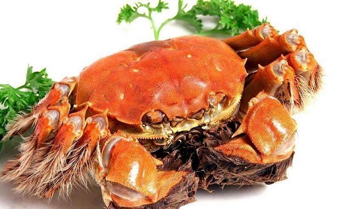 青島水產(chǎn)品進口報關(guān)公司