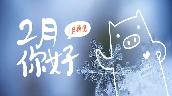 2月，這些海關(guān)政策快來看！